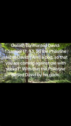 David vs. Goliath: Seeing Through Faith