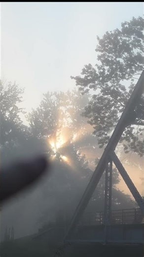 #shorts - This Is Why Photographers Wait For Heavy Fog #z5ii #4k