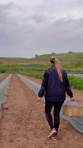 216K views · 1.3K reactions | Este video se podría titular: “Sara en su salsa” #FrutasMoreno #EspárragoBlanco #DelCampoATuMesa #TemporadaEspárrago | Frutas Moreno-Amatria | Facebook