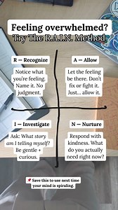 487K views · 2K reactions | Comment "RAIN" if you the complete guide on this method! #goalsetting #goals #planner #goalplanner #2025 #2025goals #planning #goals2025 #goalschallenge #dailyplanner #purposefulliving #intentionalliving #plannerideas #personalplanner #2025Planner #digitalplanner #lifeplanner #plannerlife #plannercommunity #plannergirl #planners #personalgrowth #goalsetting #goalgetter #goalsetter #goaldigger #TheSelfHelpPlanner LinkDM *171* | The Self Help Planner | Facebook