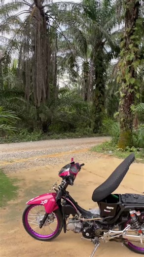 😍😍🤩#suprax125 #ffffyyyyyypppppppppppp #firaltiktok🔥🔥 #medanstyle🔥🔥 #suprastylemedan @satriaV2 @S U ®️ E N V2 @radtya’ @𝙎𝘼𝙏𝙍𝙄𝘼💥 @SUP®️🅰️_VIOLET`ً @black blue