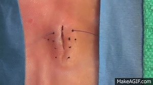 MakeAGif - Create Animated Gifs the Fun and Easy Way