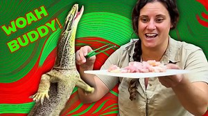 Monitor lizards are very good hunters