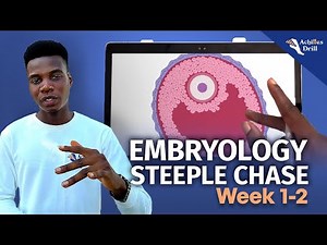 1ST AND 2ND WEEK OF DEVELOPMENT (EMBRYOLOGY STEEPLECHASE QUESTIONS)