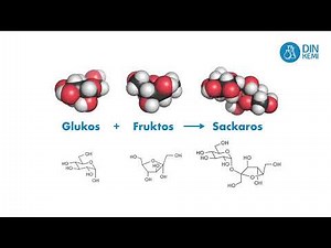 1.4.3 Glukos, Fruktos och Sackaros - Din kemi