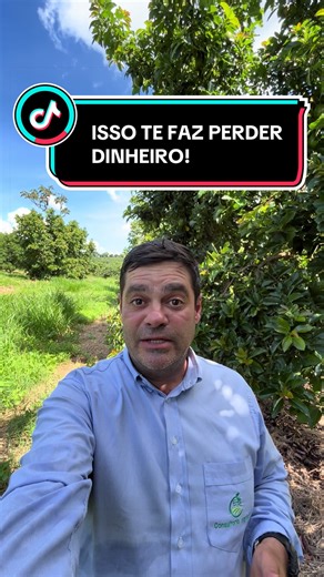 Muita gente está saindo do citros e indo pro abacate… mas está começando errado. Acha que é só arrancar o pomar e plantar abacate. E não é assim. Sem planejamento, o erro começa no solo, passa pelo espaçamento e vai até o manejo inicial. E o problema é que isso não aparece na hora… aparece depois, quando já virou prejuízo. Eu já vi produtor sair do citros tentando melhorar a situação… e acabar tendo problema no abacate também. Se for pra mudar, tem que fazer certo desde o começo.#deusnocomando #