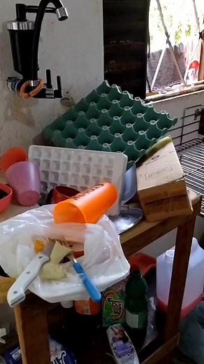 90K views · 1.9K reactions | Passei o dia de cama #reelsfbシ #viral #foryou #RegistrodeVida | Joyce Cristina Caldas | Facebook