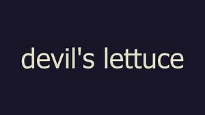 devil's lettuce meaning and pronunciation