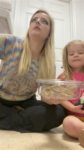 35K views · 698 reactions | Second box opening today! ❤️梁 | Dragon Smart | Facebook