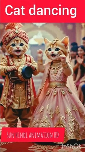 cat dancing #music