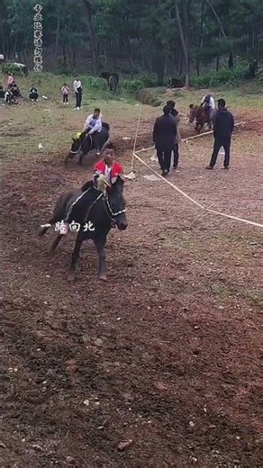 Riding the Wave of Tech: The Unstoppable Spirit of Innovation