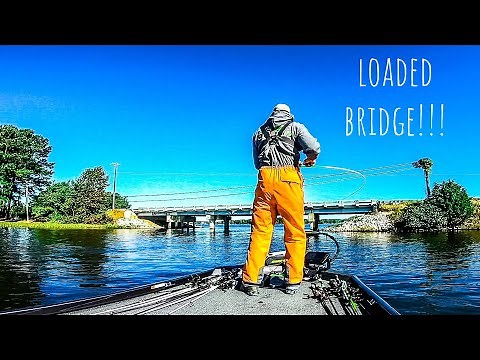 This BRIDGE Was LOADED With AGGRESSIVE Feeding Fish!! || Lake Gaston Fall Bass Fishing