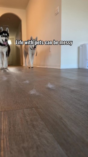 💸Black Friday: Narwal Freo X10 Pro’s biggest deal — up to $385 off. 💨 EdgeReach Mop cleans every corner. 🧺 All-in-One Base empties, washes & dries for you. 🐾 Zero-Tangle Design — perfect for long hair & pets. 💸Shop now for the strongest savings. #Narwal #FreoX10Pro #CleanHomeGoals #SmartLiving #PetParents #blackfriday | Narwal North America