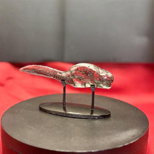 Alien Embryo Specimen - Etsy