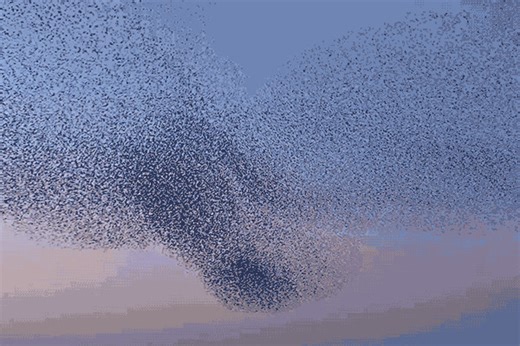 What happens when bird flight turns into sound? With support from Yale Planetary Solutions, composer Matthew Suttor and collaborators are using AI to map the movements of birds into music — giving students new ways to create and spark dialogue about climate change: bit.ly/47WLvqs #Yale | Yale University