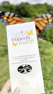 39 reactions · 20 shares | The Hocking Hills Butterfly Trail is a MUST-SEE! Now is the perfect time to look for butterflies along the trail. 曆 Learn more here: https://www.explorehockinghills.com/hocking-hills-butterfly-trail/ #hockinghills #butterflylove #hockinghillsbutterflytrail #explorehockinghills | Explore Hocking Hills | Facebook