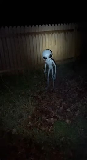 I heard a noise in the backyard... then I saw THIS 👽😰 #shorts