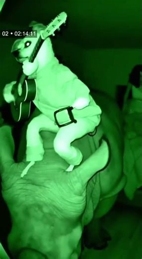 #nightvision#3am #trend #humor