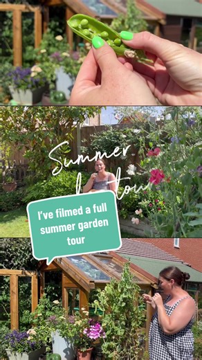 Summer Garden Tour: Discover My Beautiful Garden