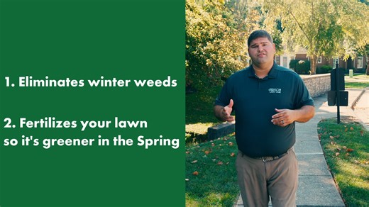 32 reactions | A healthy spring and summer lawn starts in the fall. Our fall program targets winter weeds and delivers the right fertilizer blend, giving your lawn a head start for a lush, healthy spring. | Farison Lawn Care | Facebook