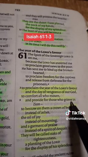 Understanding Isaiah 61:1-3 Biblical Messages