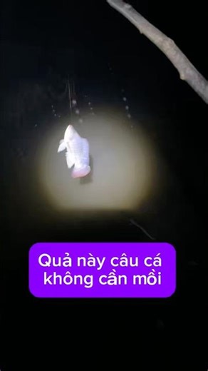 Quả câu cá này mới lạ này #đỗtrọngvlogs #fishing #caucathugian #caucakhongcanmoi