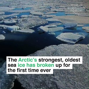658K views · 10K reactions | Scientists thought it would be the last summer sea ice to melt. Learn more about the dangers of melting ice: https://wef.ch/2J9iP3p | World Economic Forum | Facebook
