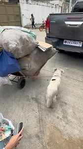 114K reactions · 2.1K shares | We at Doggo, will never discriminate. Because all doggos should be treated the same, regardless of breed and kind 﫶. | Doggo | Facebook