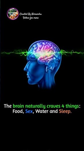 what brain craves??