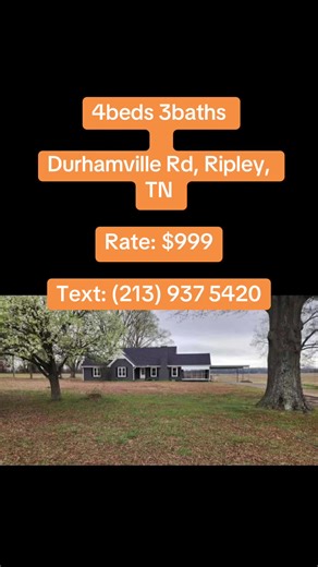 Move-in ready, remodeled two-story on 1.7 acres. Four bedrooms and three baths across spacious, light-filled living spaces. Large windows fill rooms with natural light; abundant closets and full basement. Screened-in porch overlooks private property for serene outdoor moments. Open kitchen features white cabinetry, wooden island, black countertops, large windows.#tennessee #tennesseehomes #tennesseerealtor #forRent #trending