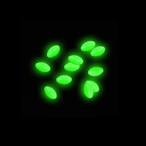 [Hot Item] Glow in Dark Plastic Green Oval Luminous Fishing Beads