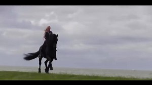 8 Most Beautiful Horses on Planet Earth