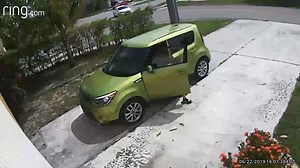 81K views · 1K reactions | ONLY IN SOUTH FLORIDA  A man was caught...