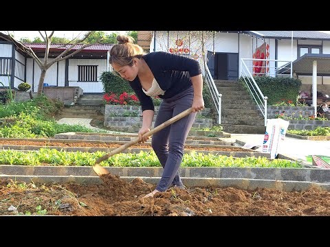 A Peaceful Day on My Farm | Simple Rural Life & Cozy Daily Routine