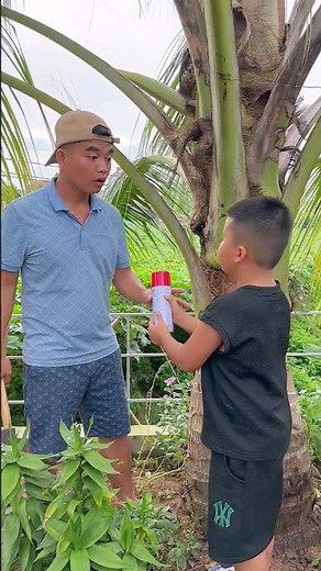 OMG! Hành động đẹp của cậu bé tốt bụng giúp đỡ tổ chim non, bảo vệ cây xanh #shorts #giadinh