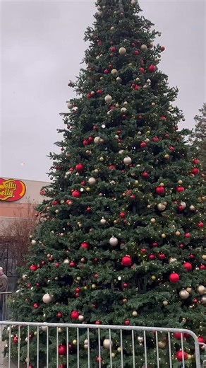 🎄🎅Visit the Jelly Belly Factory during the holidays for a sweet treat! Bring the kids for a fun day out to see candy being made right in front of you on a self guided tour, then meet Santa and take a photo! You can also take a ride on the Jelly Belly Express train, see jelly bean art, visit the Jelly Belly Museum with its Christmas decorations, and of course try some samples. 🎅🏻Photos with Santa in the museum take place daily through December 24, noon–4 pm; 2 pm on Christmas Eve. (Make sure 