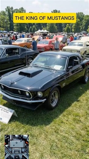 1969 Boss 429: The Holy Grail 🐎⬛️