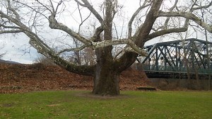 Simsbury and Surrounding Towns: A Look Back at 2016