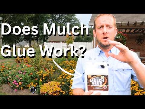 The TRUTH About Mulch Glue