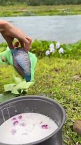 12K views · 314 reactions | Ganda ng Isda Color Blue #Naturetrip | Ryza Vlogs | Facebook