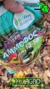 Garbage that works better than manure! Just make your own homemade compost accelerator.