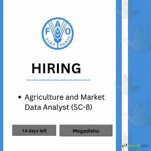 #FAO is hiring Agriculture and Market Data Analyst (SC-8) APPLY NOW------>>>>>> https://somalijobs.com/jobs/mogadishu/10345705937528418/agriculture-and-market-data-analyst-(sc-8) Deadline: 19th October 2023 #Somalijobs | Somali Jobs