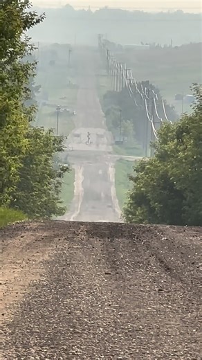 The hill… When spring arrives once again at RLR they’ll be a lot of new yearlings that’ll run the hill with @mikaelabairdrlr_ This is an exercise that teaches trust and patience. Keeping pace with their trainer and matching her energy comes in handy in the show ring, and is great ground exercise when they’re still too young for under saddle training. 👍Happy Saturday and here’s to the hills of spring coming back soon! 😀@melissajoybaird_rlr @waynebaird_rlr @jessie_rlr @emily_rlr @keghanbaird @da