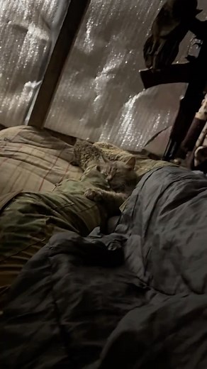 Sleep tight, mate. | In Ukraine