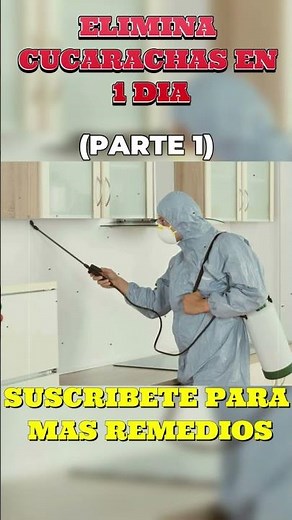 Elimina Cucarachas en 1 Día 🪳 (Remedios Naturales que SÍ Funcionan) - PARTE 1