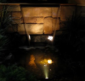 Brighten your pond with stunning Underwater LED Lighting!  Transform your koi pond or waterfall into a magical oasis with our submersible LED lights. They're energy-efficient, durable, and super easy to install, making your water feature truly shine. Don't wait – shop now at Webb’s Water Gardens (webbsonline.com)! ✨ #UnderwaterLighting #PondGlow | Webb's Water Gardens | Facebook