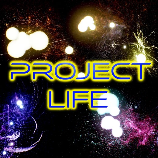 Project Life by Primo Game Studio
