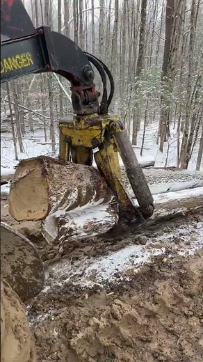 Timberjack an cat skidder putting in the work #skidder #tree #timber #chainsaw #timberjack #fyp