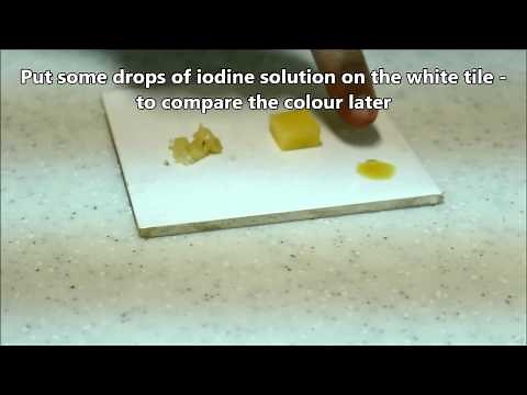 BIOLOGY: 03 - Iodine test on potato