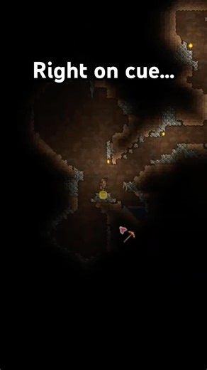 First time playing Terraria was wild #gaming #funny #terraria